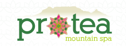 Protea Mountain Spa Logo